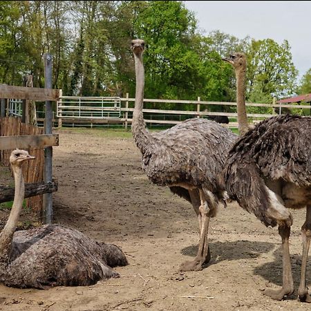Gaestewohnung Hardinghaus Am Teich Warendorf Bagian luar foto