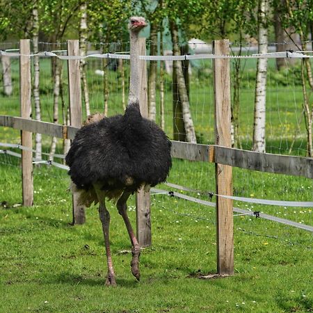 Gaestewohnung Hardinghaus Am Teich Warendorf Bagian luar foto