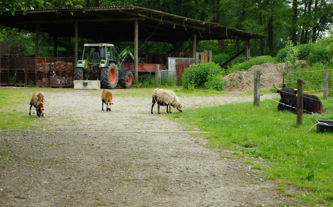 Gaestewohnung Hardinghaus Am Teich Warendorf Bagian luar foto
